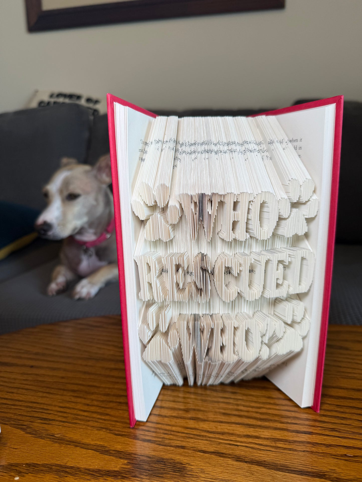 Who Rescued Who