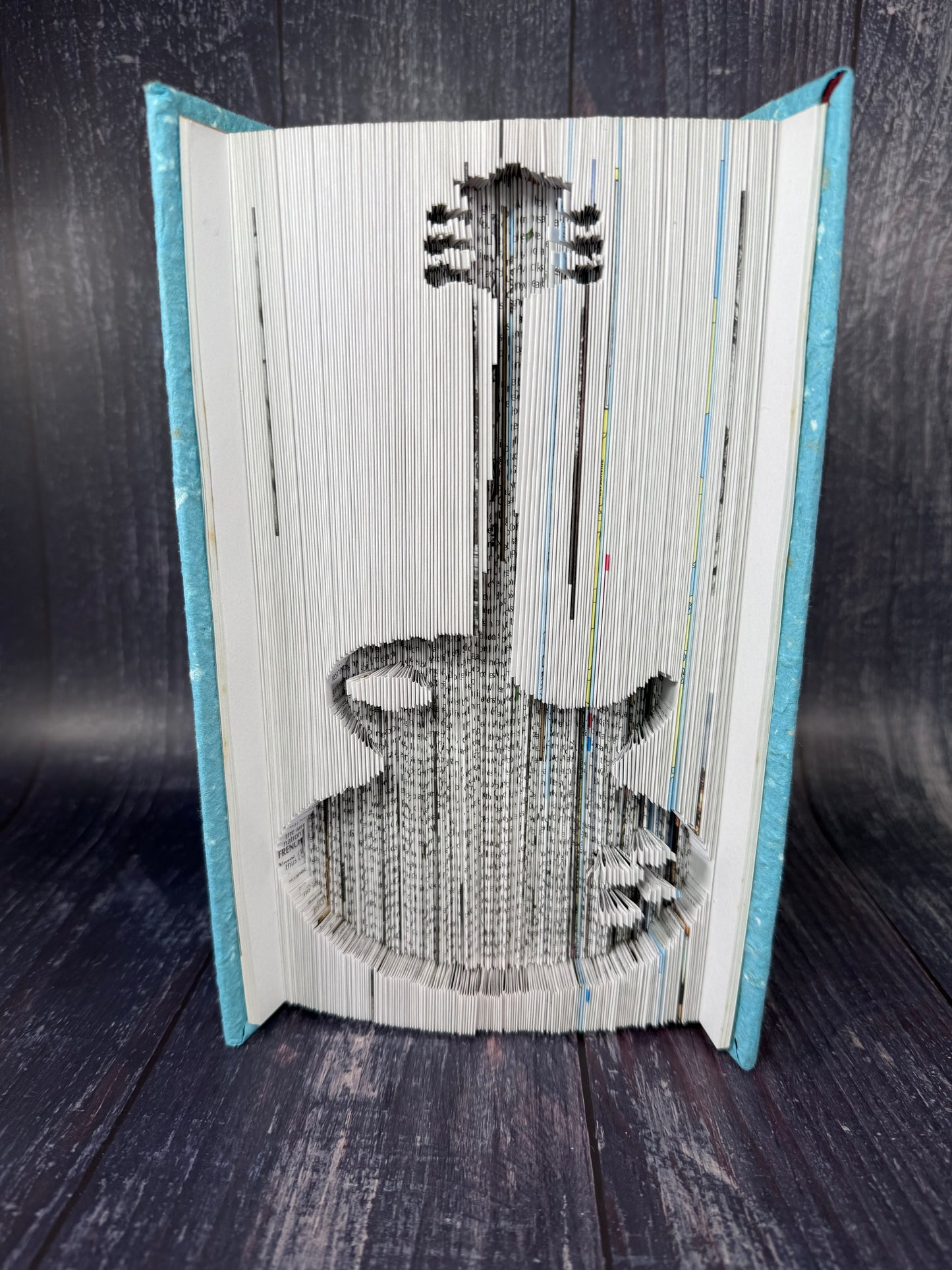 Les Paul Electric Guitar Book Art