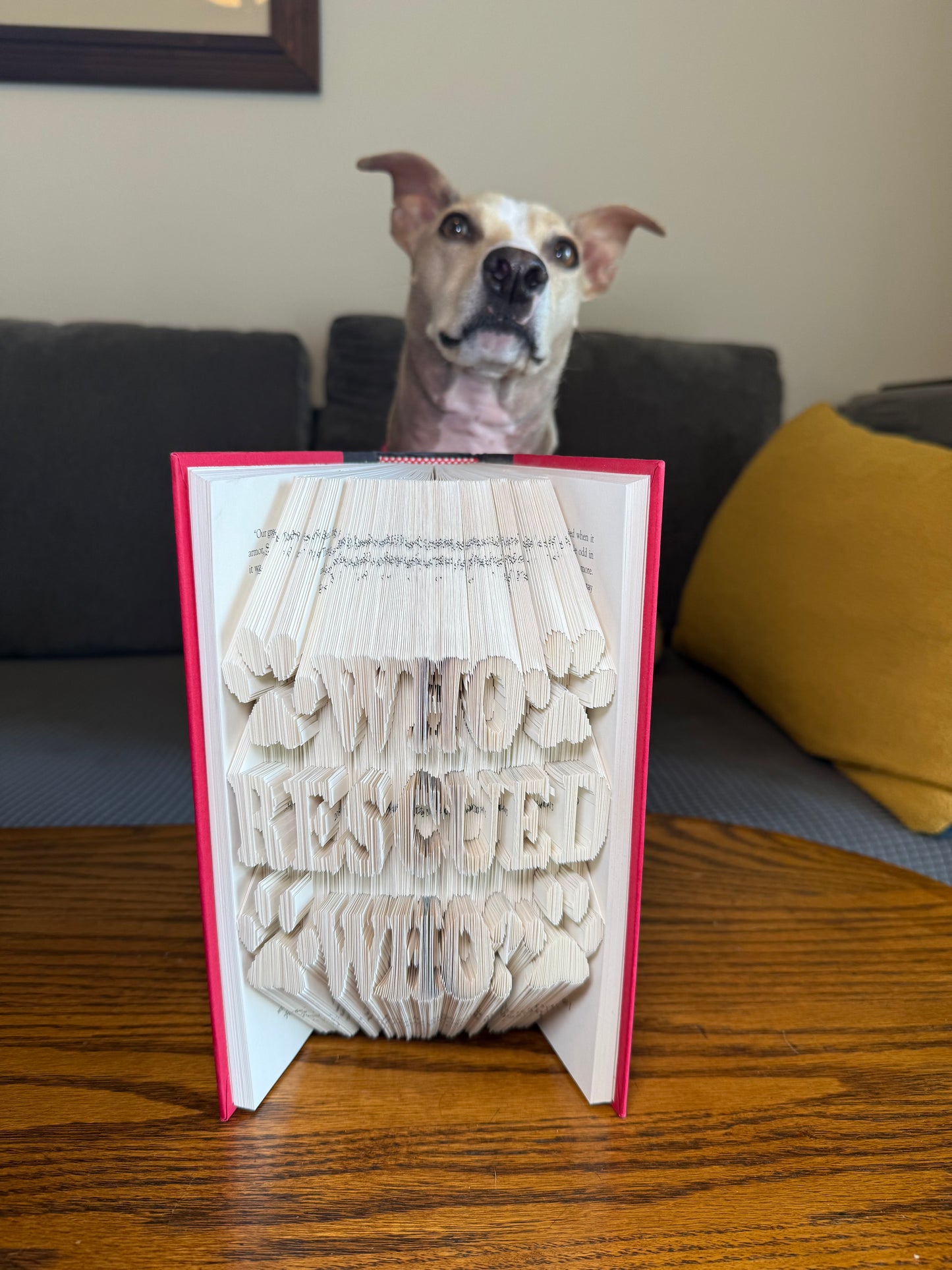 Who Rescued Who