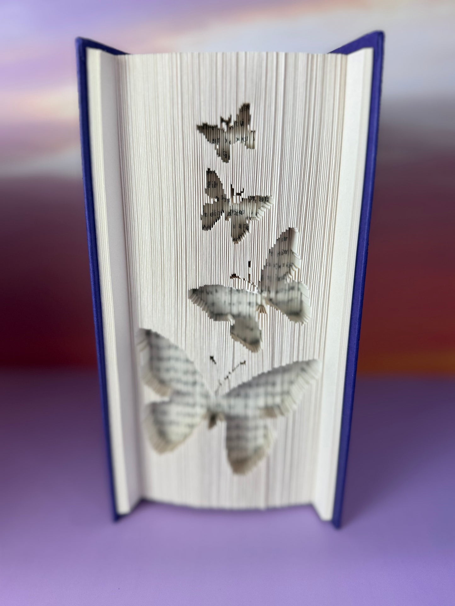 Butterflies 180 Fold Book Art