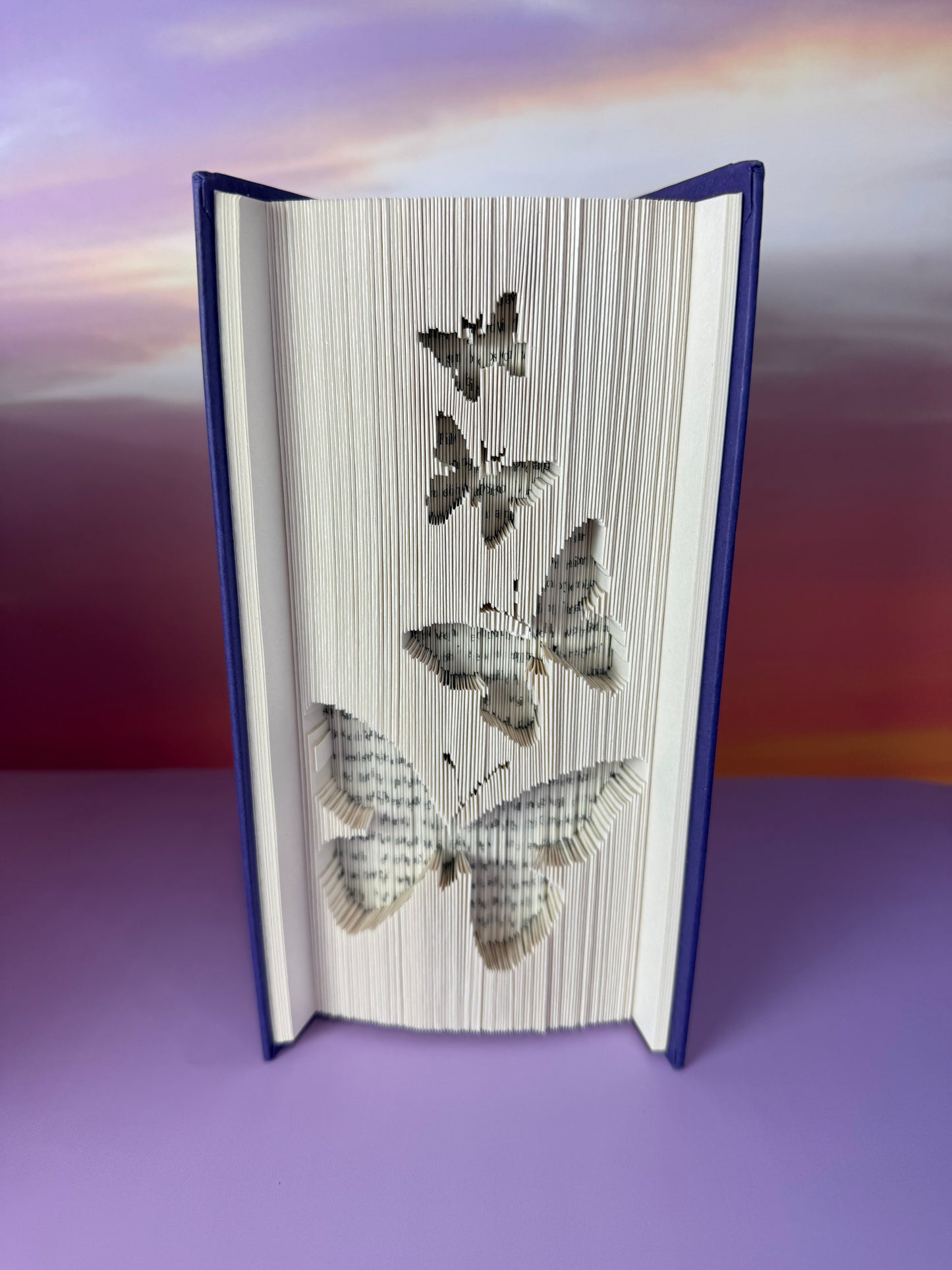 Butterflies 180 Fold Book Art