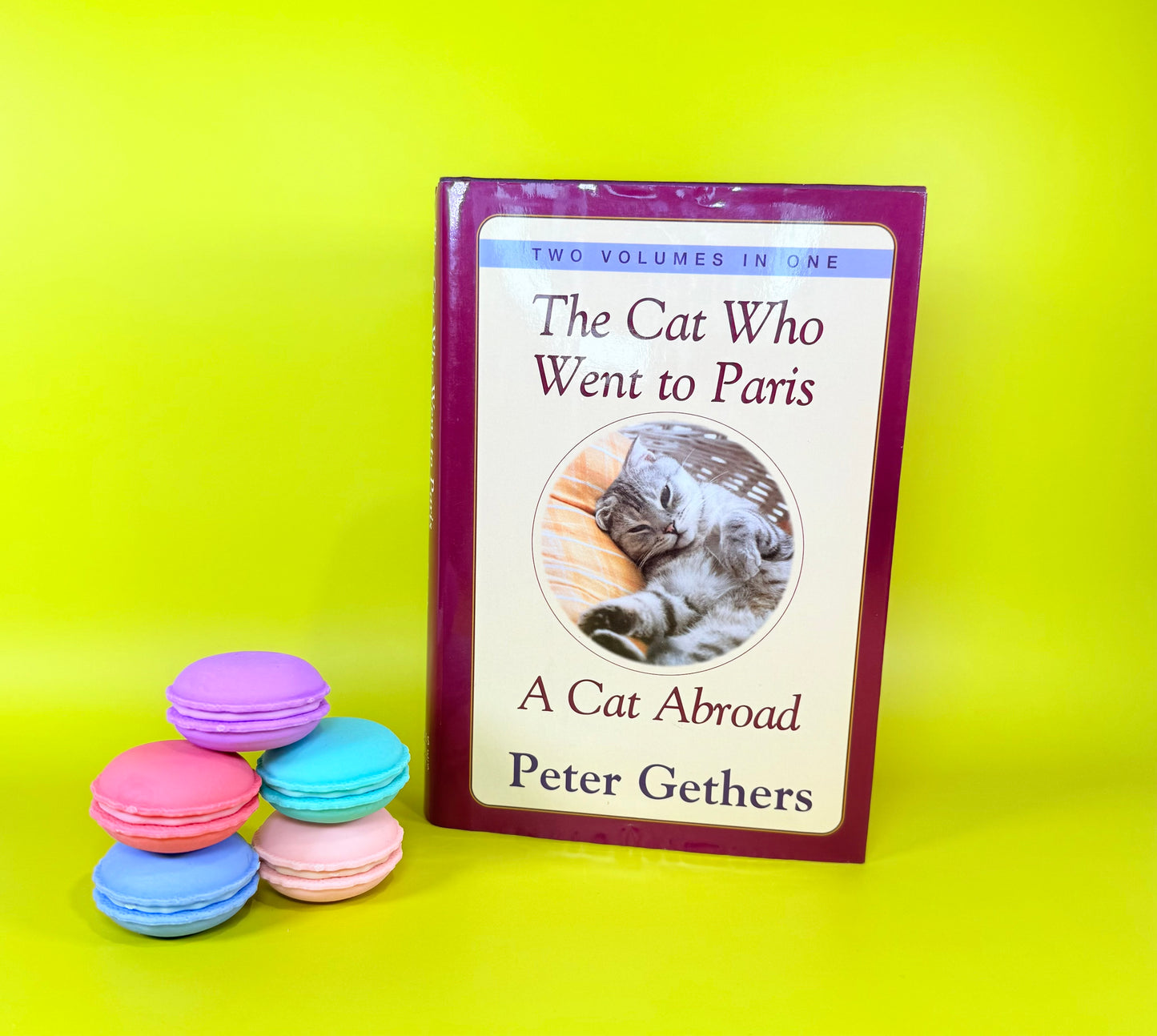 All You Need Is Love And A Cat Book Art