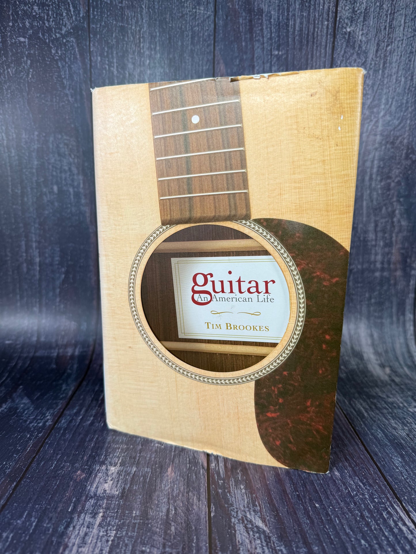 Acoustic Guitar Book Art